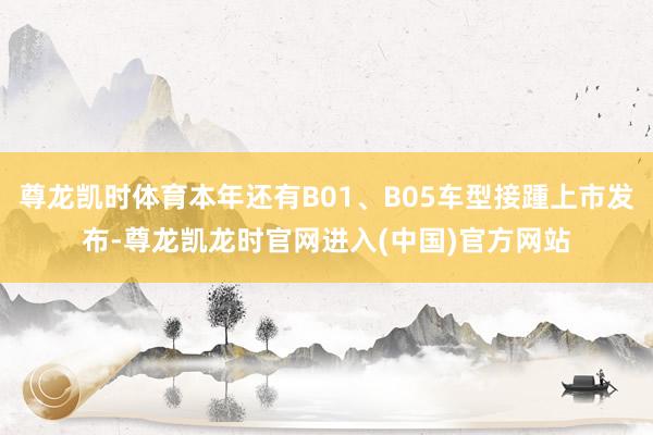 尊龙凯时体育本年还有B01、B05车型接踵上市发布-尊龙凯龙时官网进入(中国)官方网站