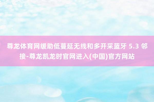 尊龙体育网缓助低蔓延无线和多开采蓝牙 5.3 邻接-尊龙凯龙时官网进入(中国)官方网站