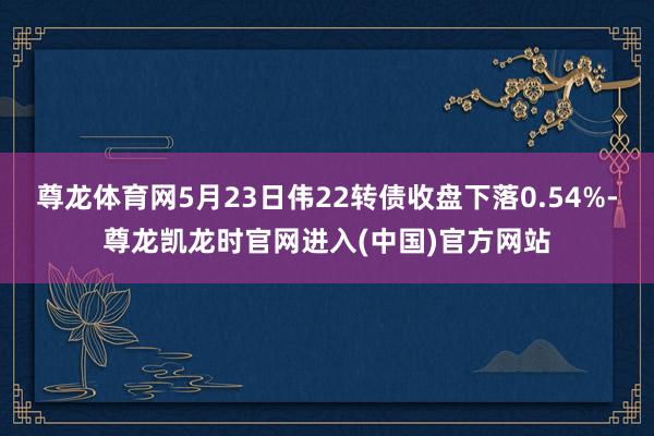 尊龙体育网5月23日伟22转债收盘下落0.54%-尊龙凯龙时官网进入(中国)官方网站