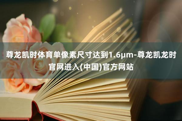 尊龙凯时体育单像素尺寸达到1.6μm-尊龙凯龙时官网进入(中国)官方网站