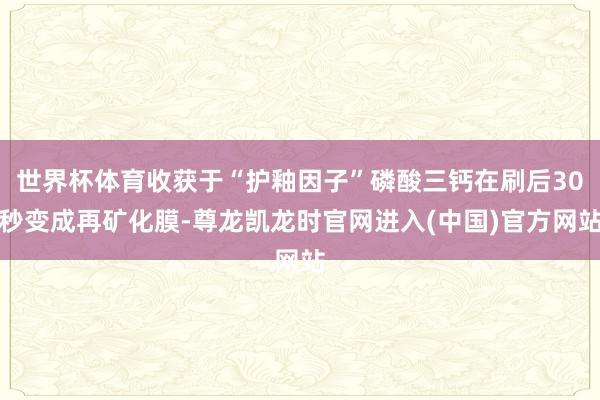 世界杯体育收获于“护釉因子”磷酸三钙在刷后30秒变成再矿化膜-尊龙凯龙时官网进入(中国)官方网站