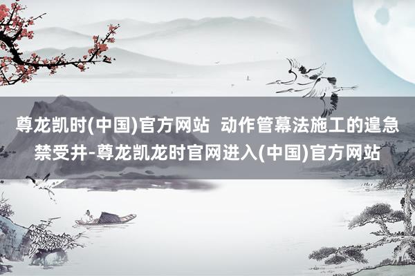 尊龙凯时(中国)官方网站  动作管幕法施工的遑急禁受井-尊龙凯龙时官网进入(中国)官方网站