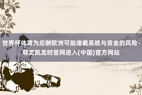 世界杯体育为应酬欧洲可能堵截系统与资金的风险-尊龙凯龙时官网进入(中国)官方网站