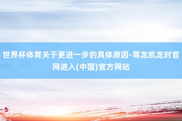世界杯体育关于更进一步的具体原因-尊龙凯龙时官网进入(中国)官方网站