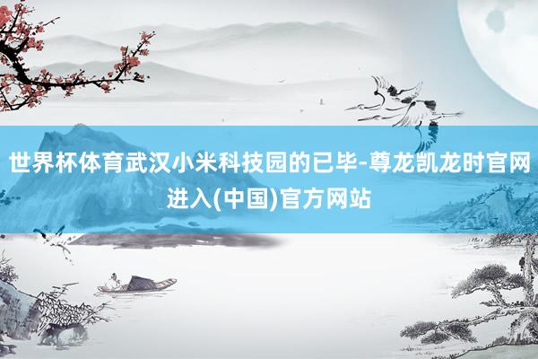 世界杯体育武汉小米科技园的已毕-尊龙凯龙时官网进入(中国)官方网站