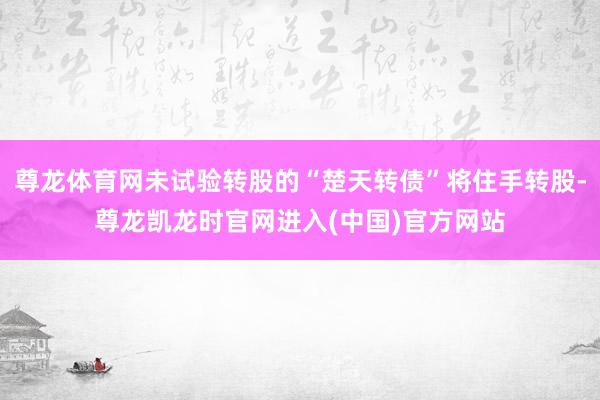 尊龙体育网未试验转股的“楚天转债”将住手转股-尊龙凯龙时官网进入(中国)官方网站